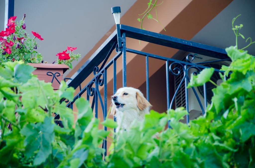 Ferienwohnung Nefeli Levídhion Exterior foto